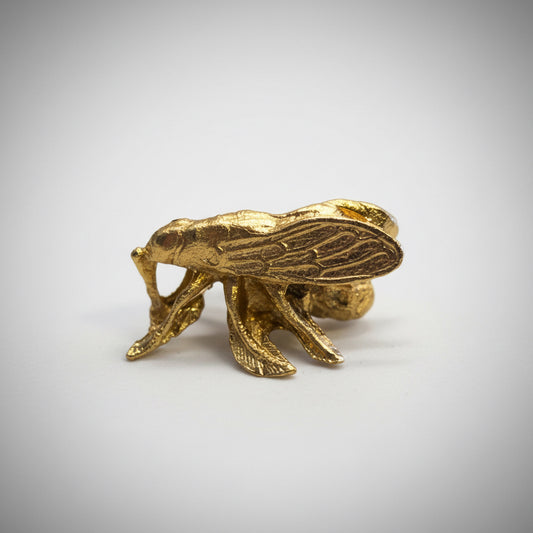 Cigarra Dorada De Metal Amuleto Feng Shui by HEREJE