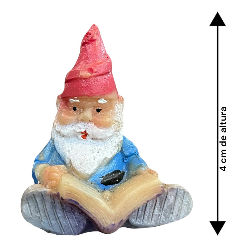 Gnomos En Miniatura De 4 Cm Altura Libro by HEREJE
